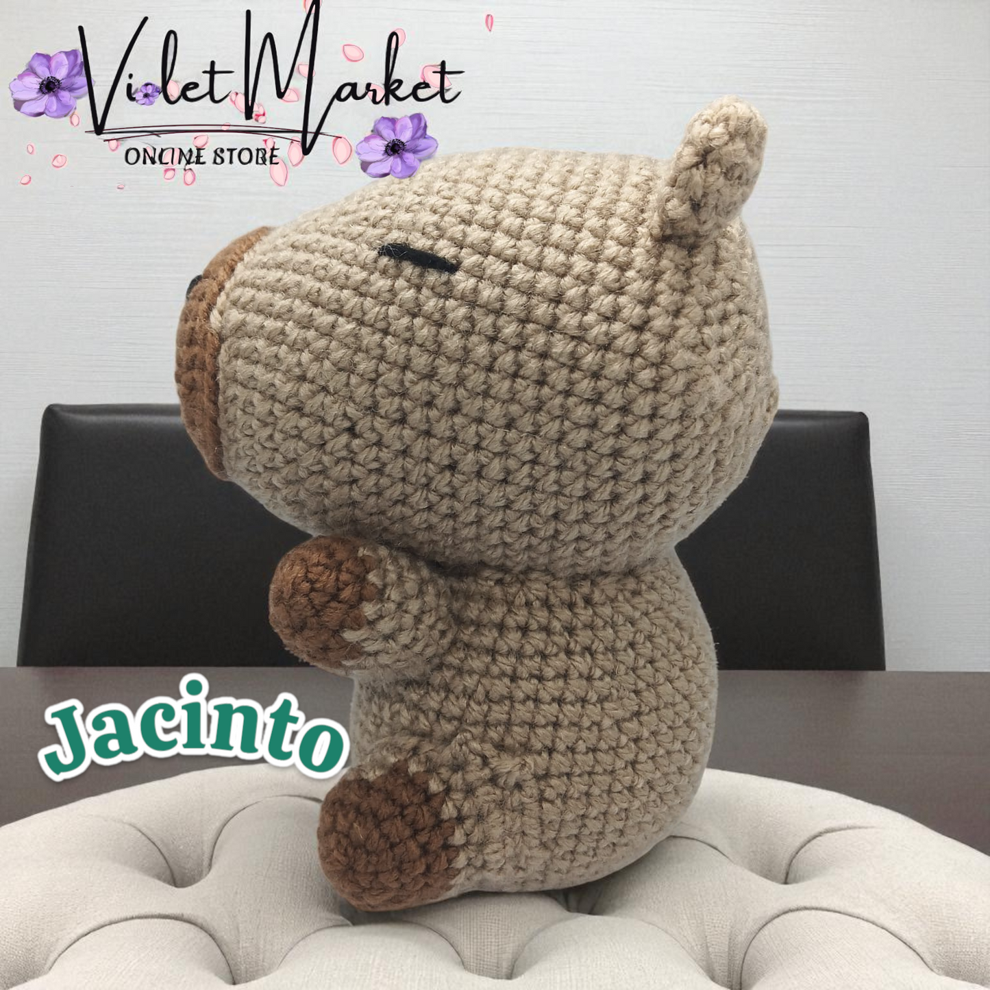 🐾🌿Jacinto el capibara 🐾🌿
