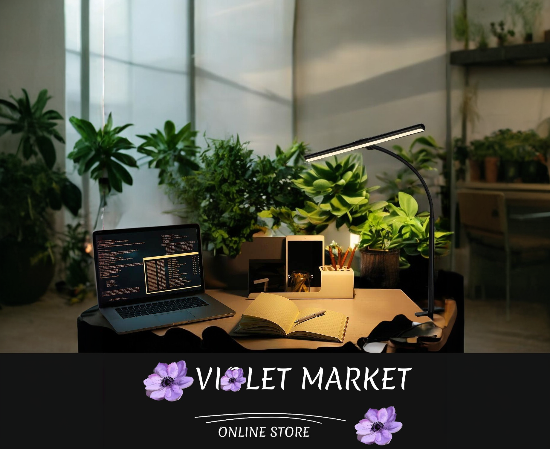 VIOLET LumiPro 360 