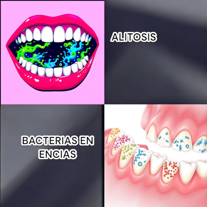 VIOLET UVClean Station