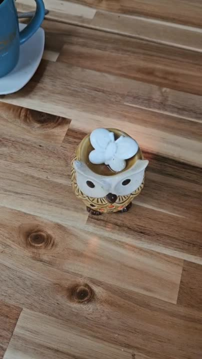 ✨ Cja navidad Wax Melts de Masaje – Violet Market ✨