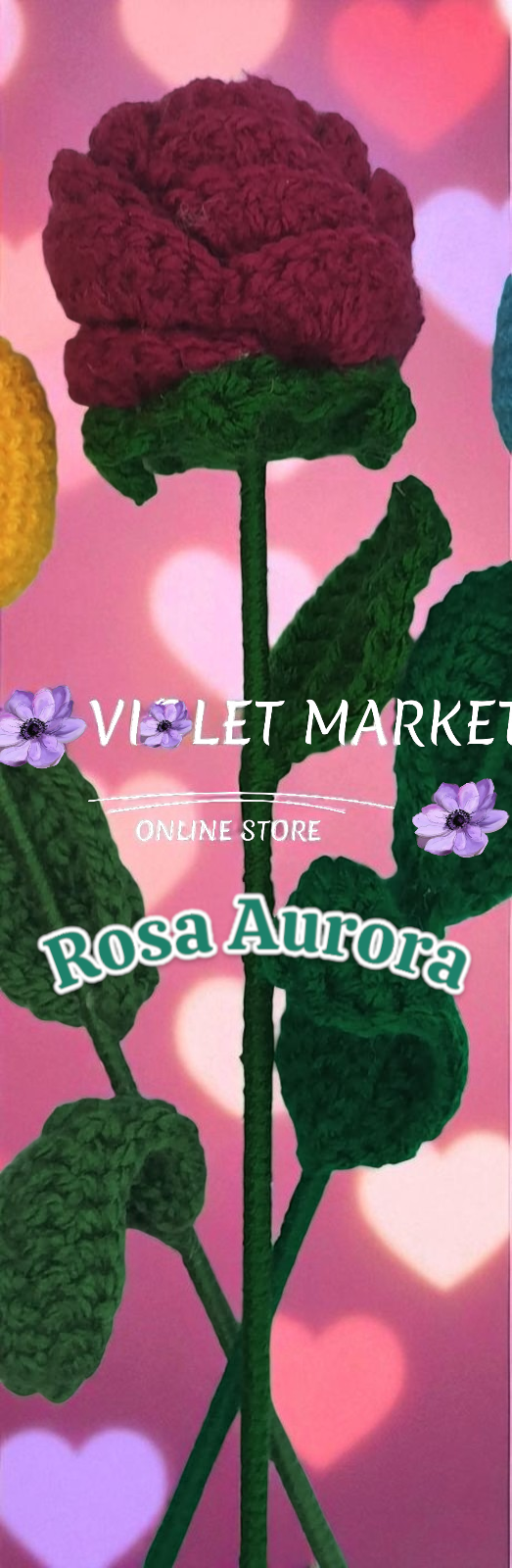 🌹✨Rosa Aurora 🌹✨