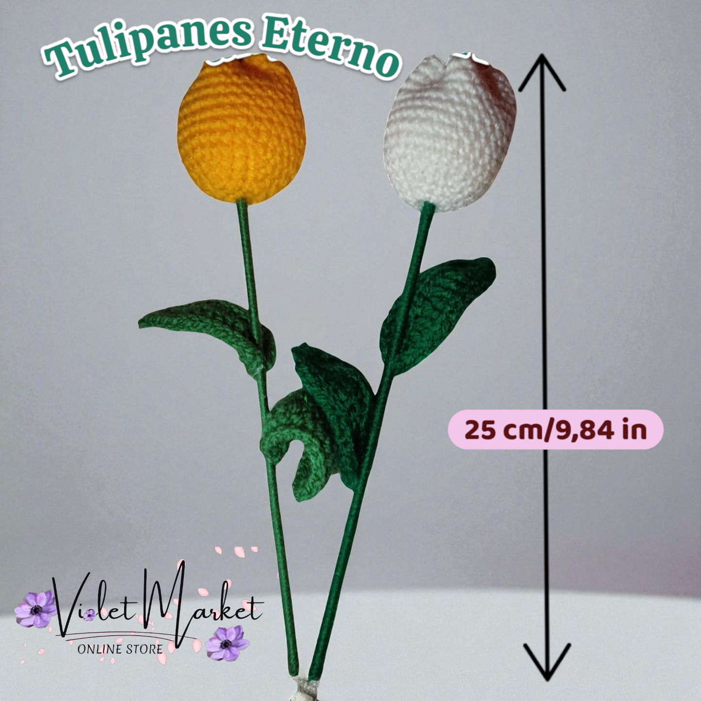 🌷 Tulipán Eterno✨