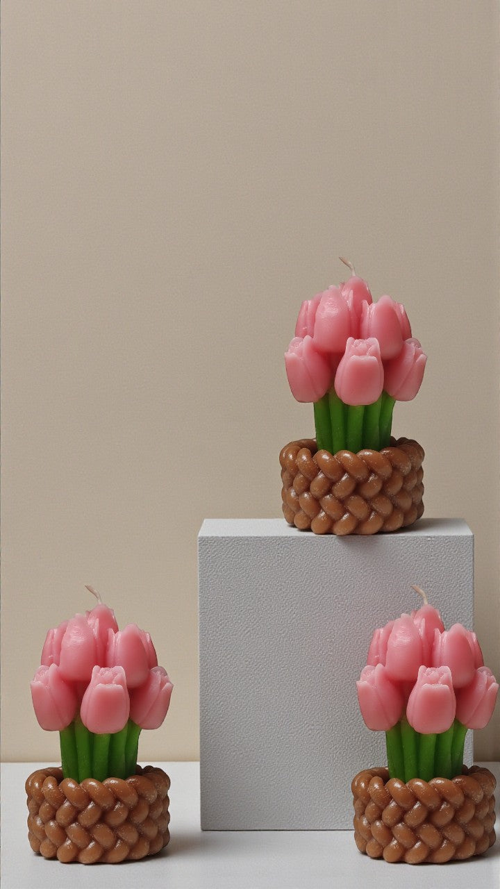 Vela Tulipán Encanto Caja recuerdo