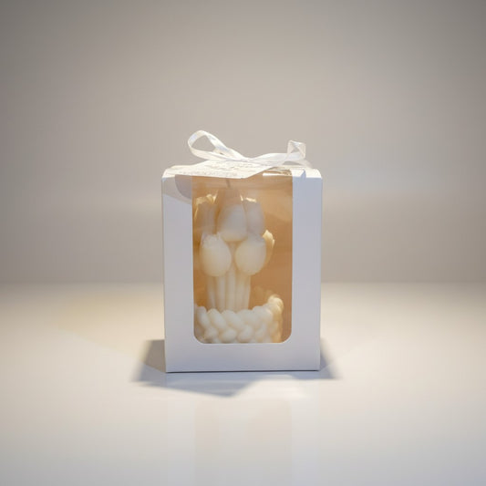 Vela Tulipán Encanto Caja recuerdo