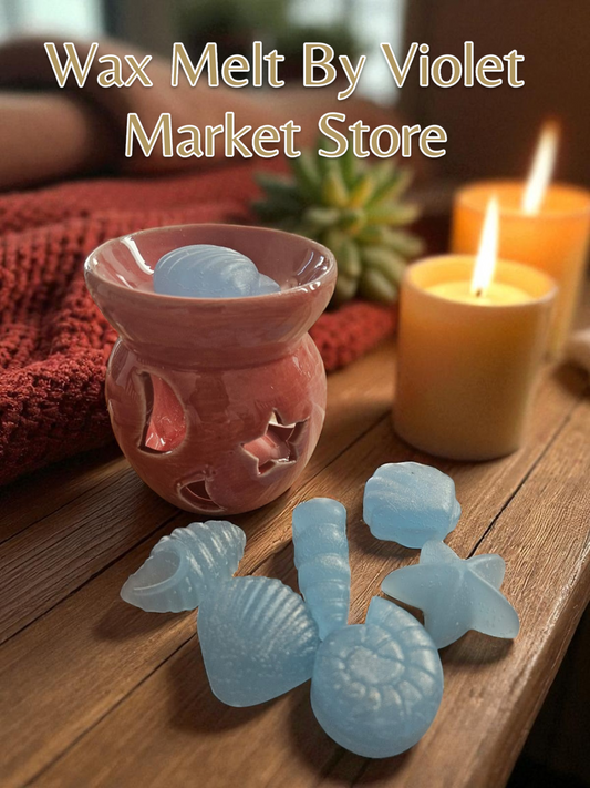 🐚 Wax Melt Coco – Conchas del Mar